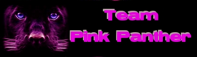 pink team